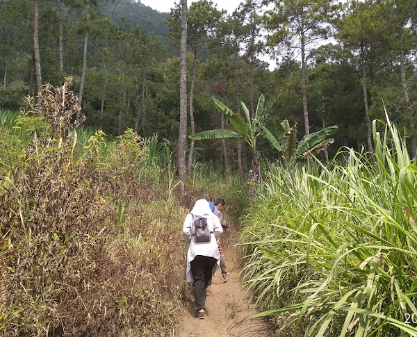 Hiking Gunung Panderman